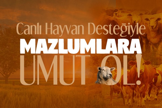 Levende dier donatie