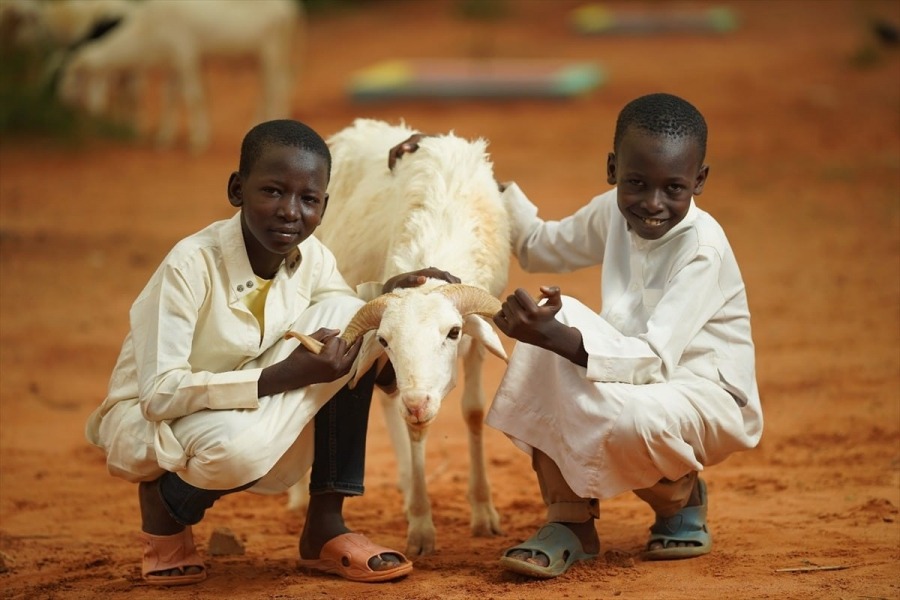 Kurbanlarınız Afrika’da